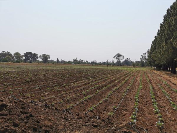 4 ha Land
