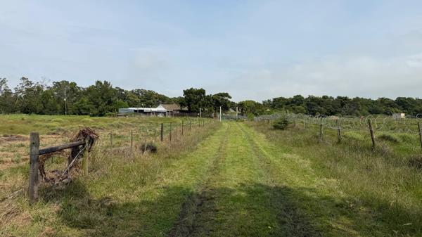 3.3 ha Smallholding
