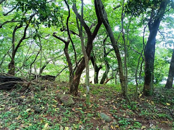1 250 m² Land