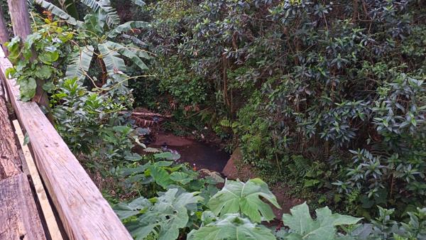 2 Bedroom Garden Cottage