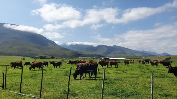 790 ha Farm