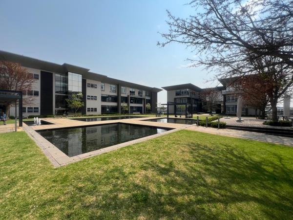 250 m² Office Space