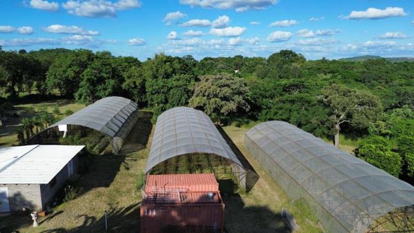 8.6 ha Farm