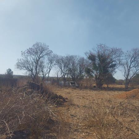 8.5 ha Farm