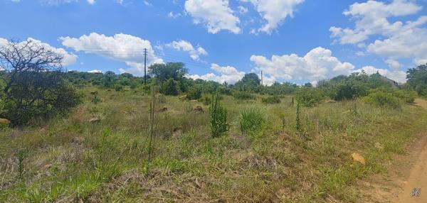 2 039 m² Land