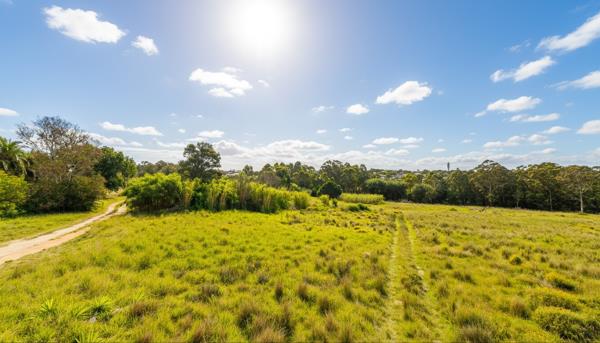 5.9 ha Land