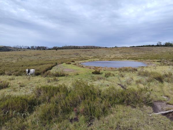 147.5 ha Farm