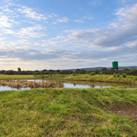 287 ha Farm
