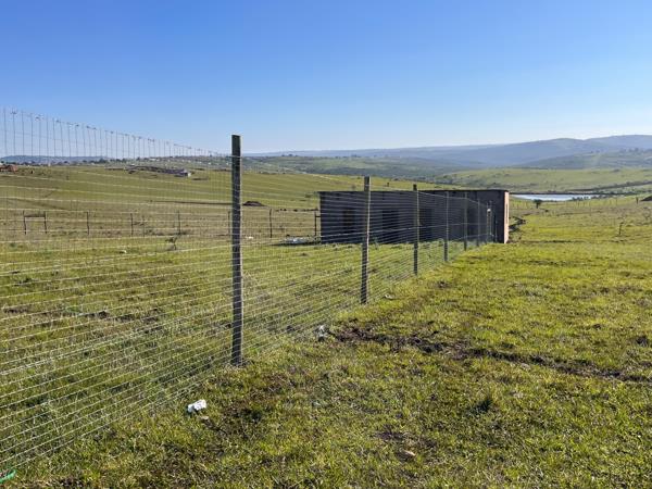 2 800 m² Farm