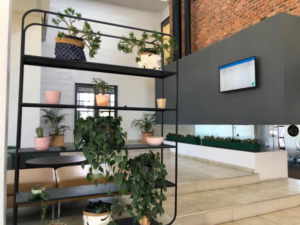 315 m² Commercial space