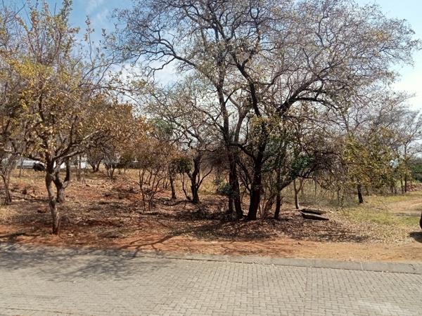 517 m² Land
