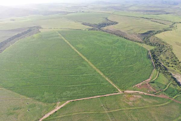 684 ha Farm