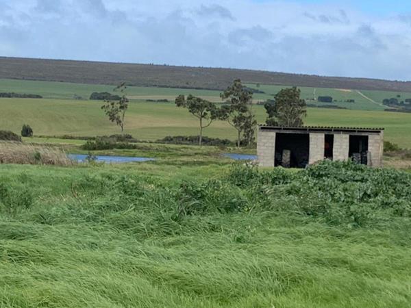 10 ha Land