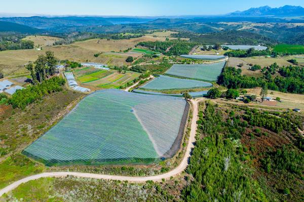 26.2 ha Farm