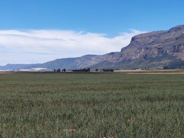 398 ha Farm