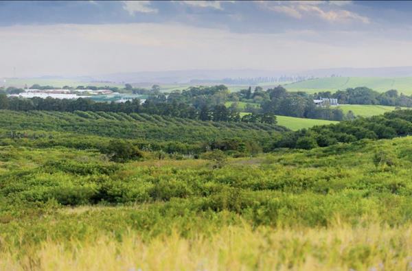 504 m² Land