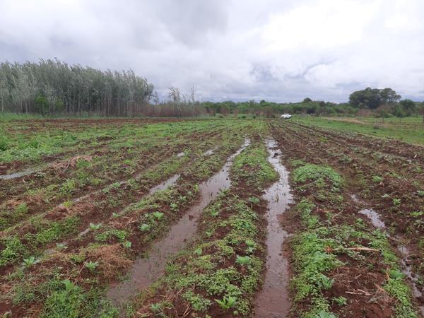 1 ha Land