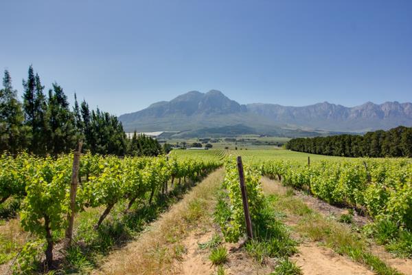 108 ha Farm