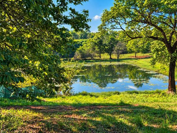 3 866 m² Land
