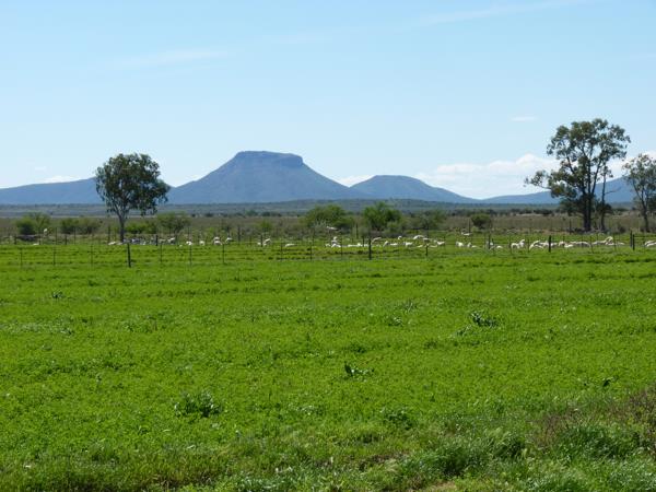 2 828.3 ha Farm