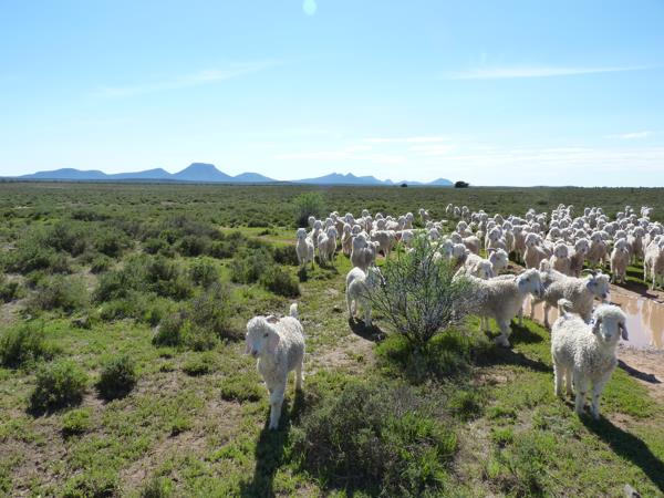 2 828.3 ha Farm for sale in Aberdeen | T5642131 | Private Property
