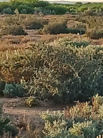 35 ha Land
