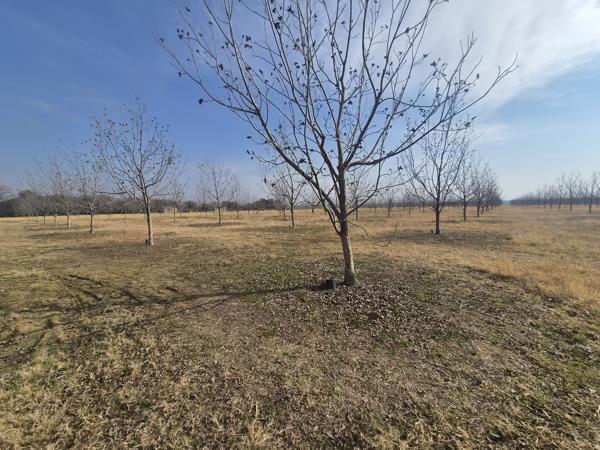 88 ha Farm