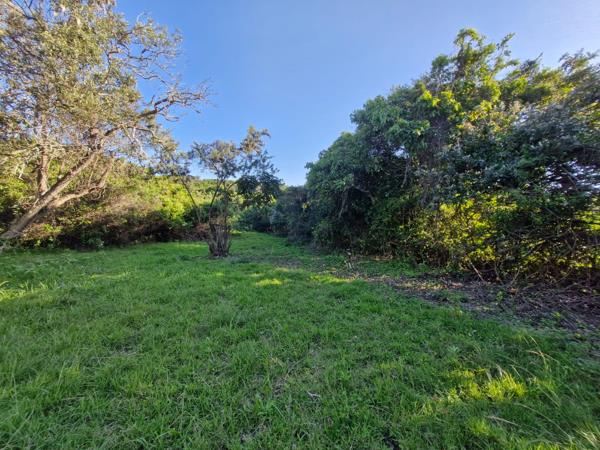 1 507 m² Land