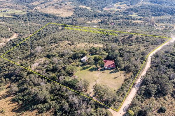9.8 ha Smallholding
