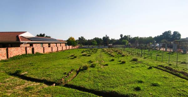 3 155 m² Land