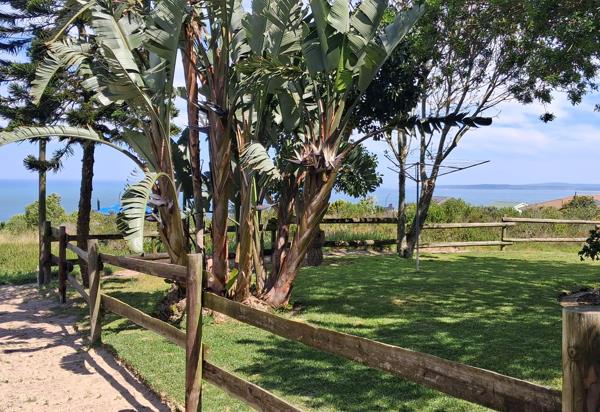 1 004 m² Land