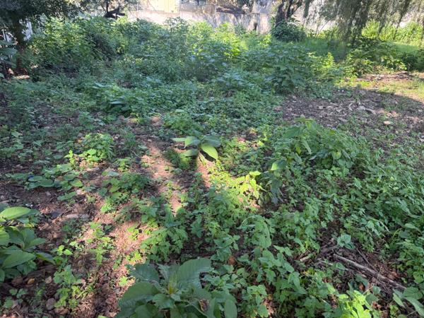 1 800 m² Land