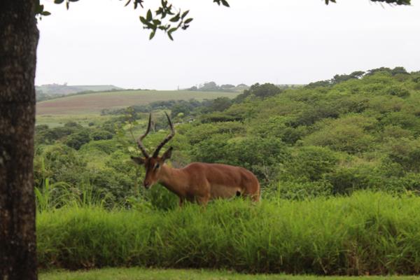 557 m² Land
