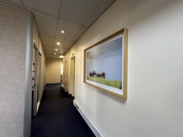 225 m² Commercial space