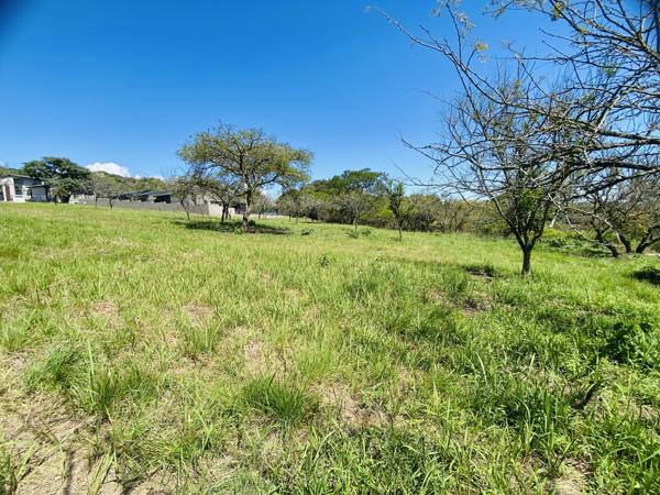 1 685 m² Land