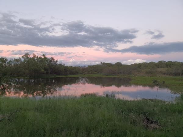 71 ha Farm