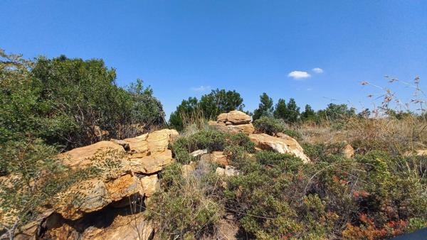 2.3 ha Land