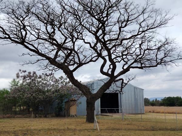 13.2 ha Farm