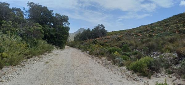 8.6 ha Land