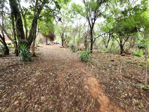 14 ha Farm