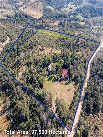 9.8 ha Smallholding