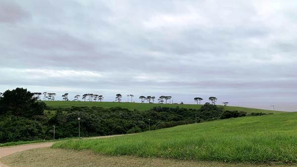 882 m² Land