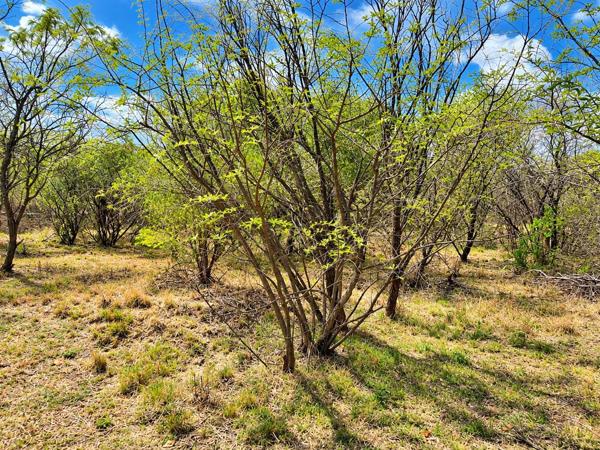 909 m² Land