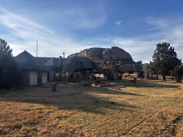 214 ha Farm with House