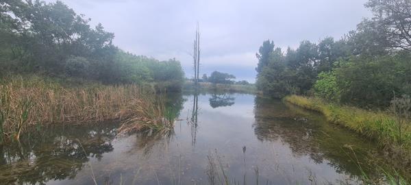53.5 ha Farm