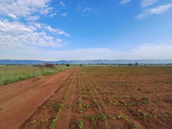 23.9 ha Land