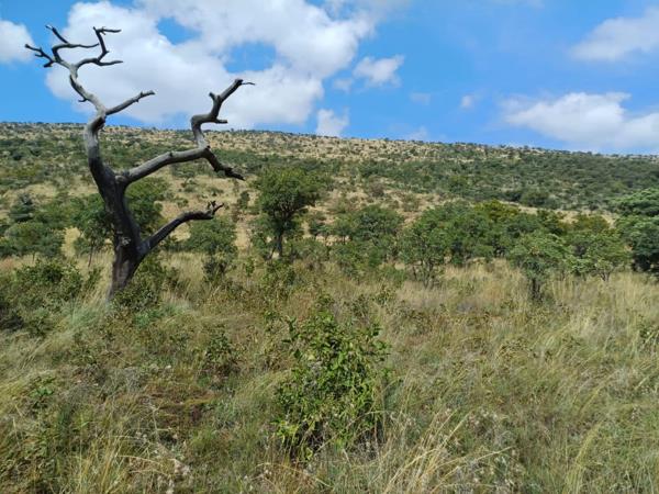 54 ha Land