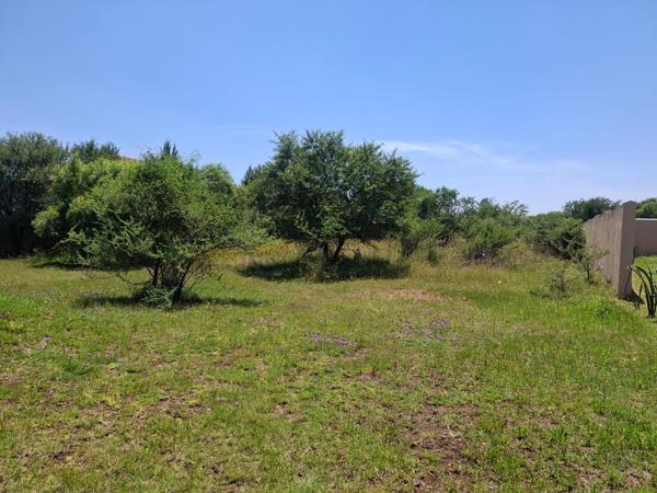 1 305 m² Land