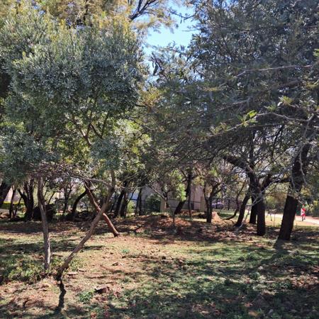 917 m² Land