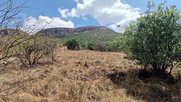 64 ha Land